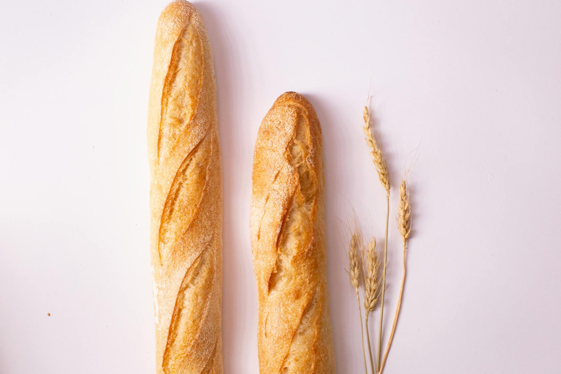 Weizen vs. Dinkel – Was enthält mehr Gluten?